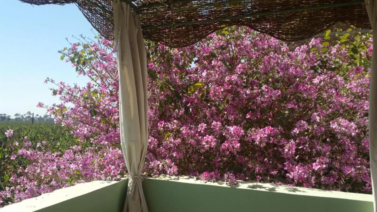 Luxor Experience Guest House 0*,