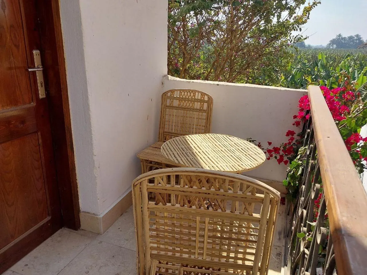 Luxor Experience Guest House 0*,